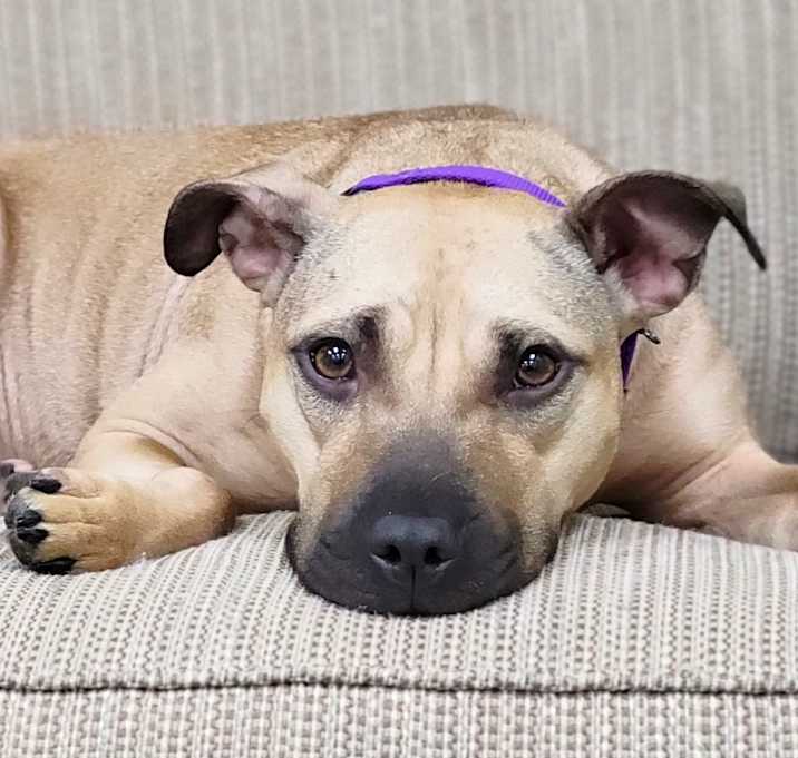 Photo of Spud