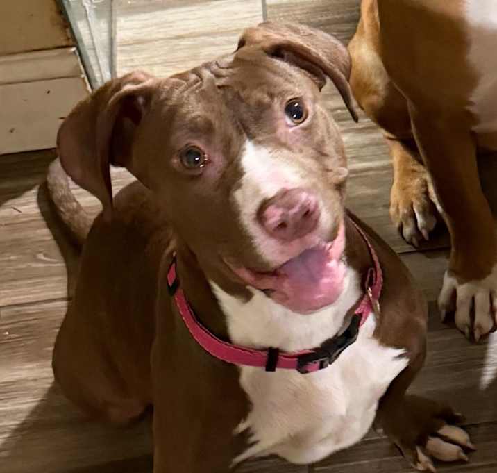 Photo of Doby