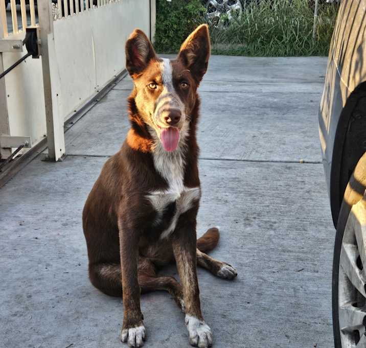 Photo of Estrella