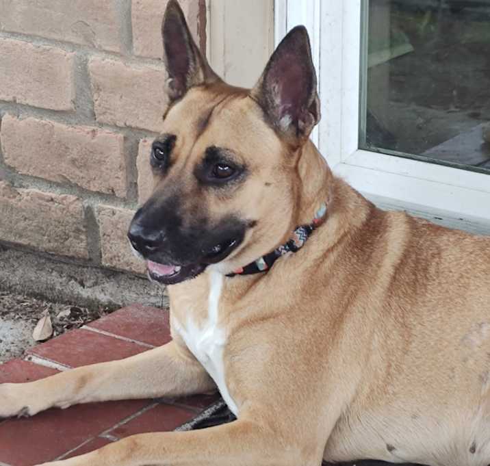 Photo of Bella