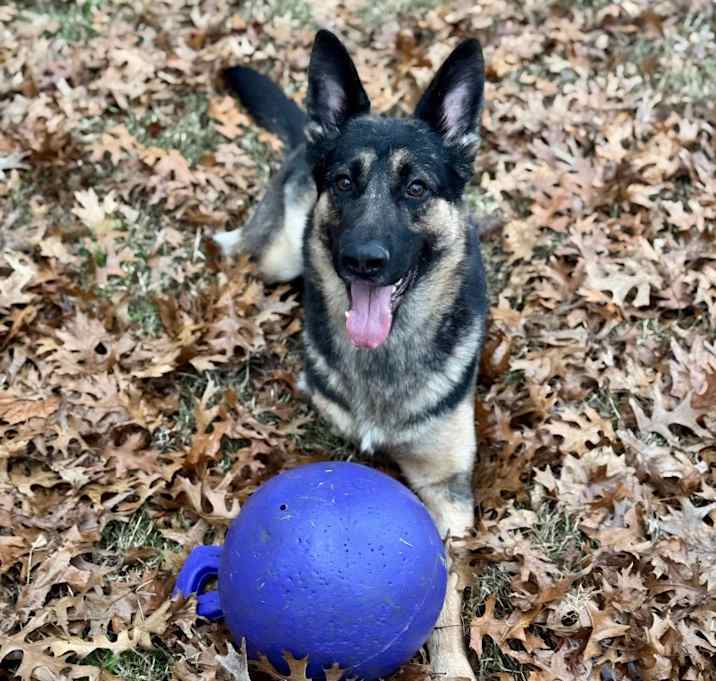 Photo of Cash