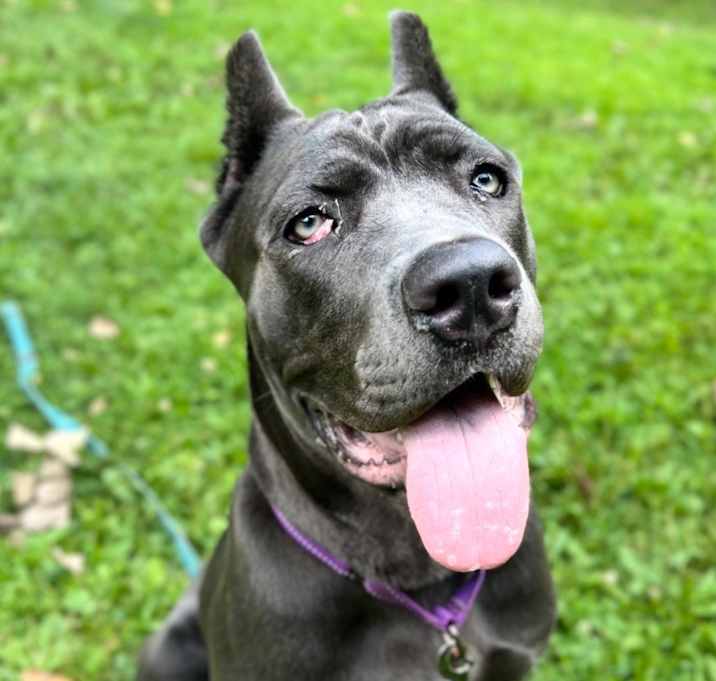 Photo of Lucille