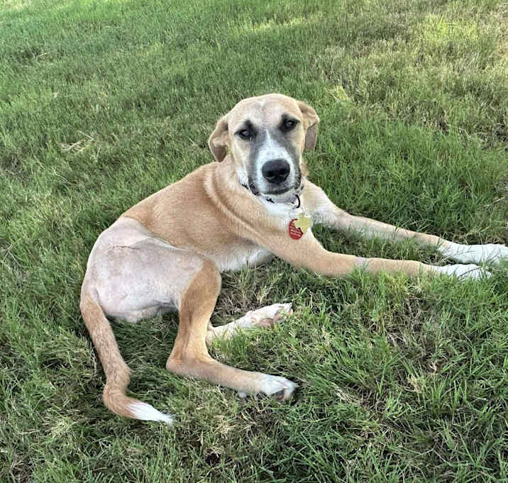 Photo of Flip