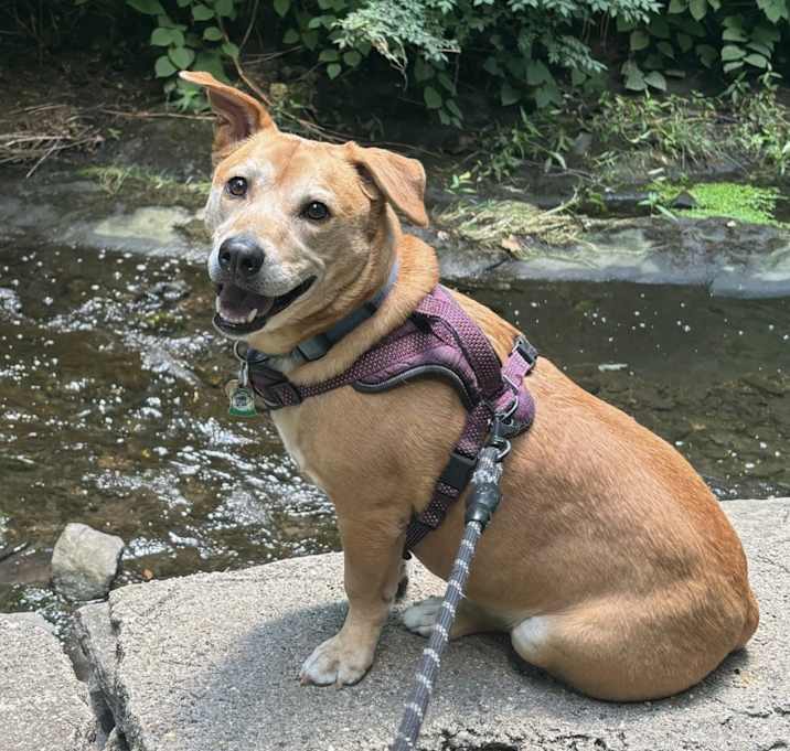 Photo of Bella