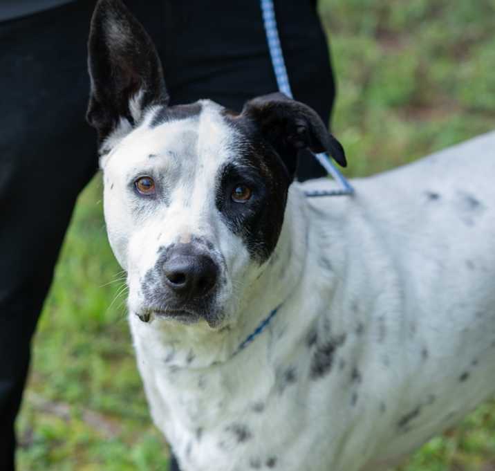 Photo of LUTHER-29997