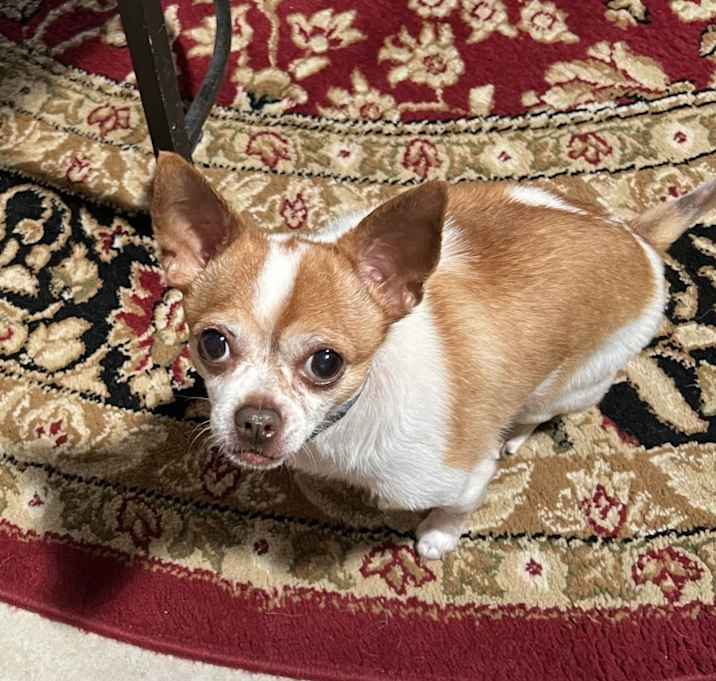 Photo of Thor