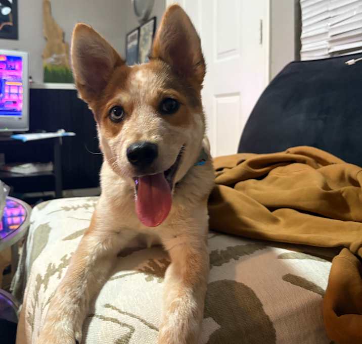 Photo of Maze
