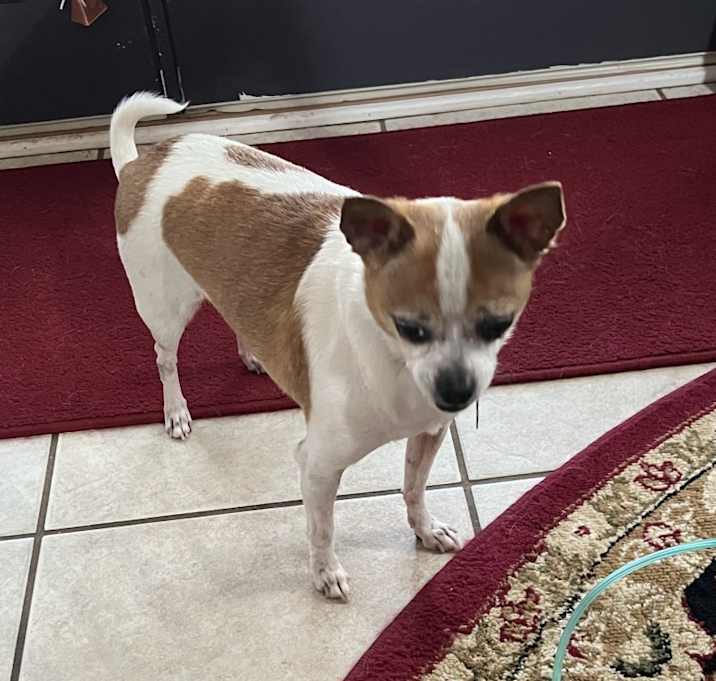 Photo of Zeus