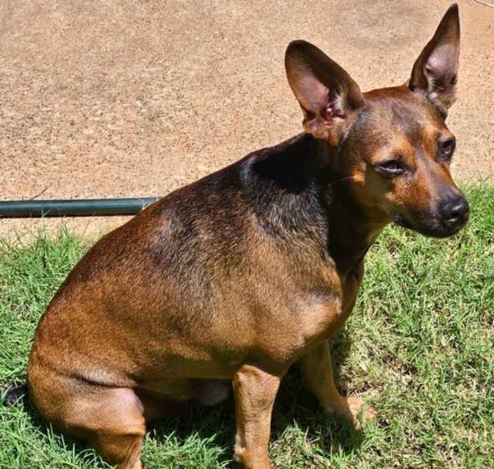 Photo of Buster