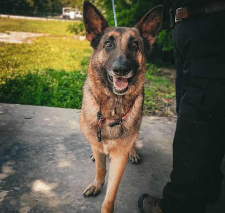 Photo of zCassie (COURTESY LISTING)