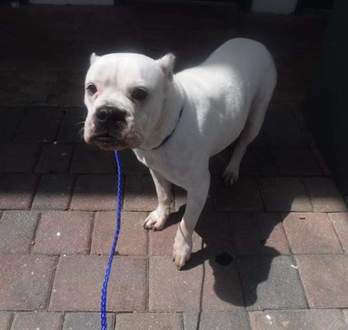 Photo of CORA