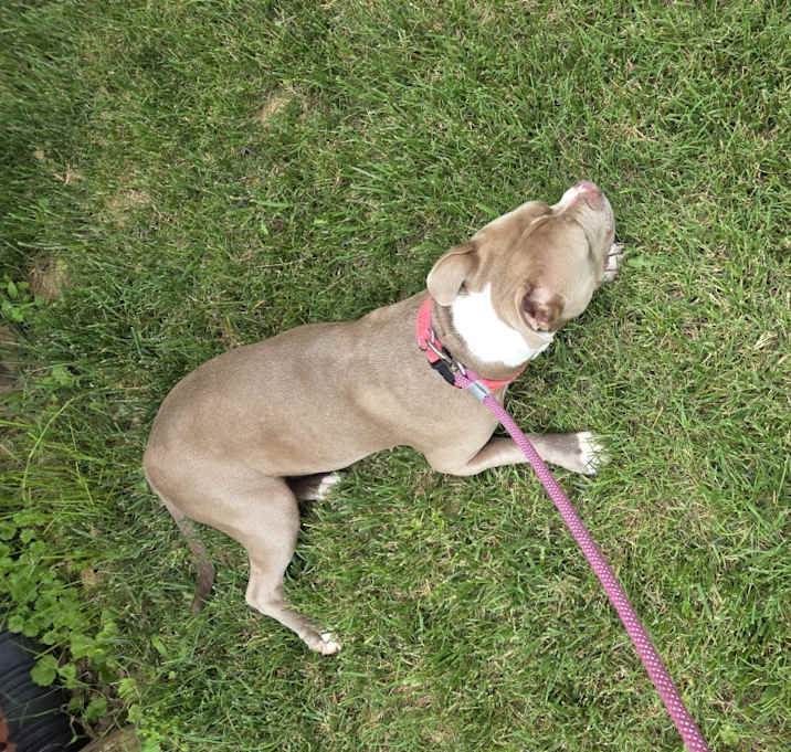Photo of Missy