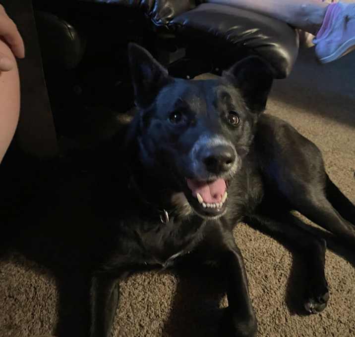 Photo of Bella