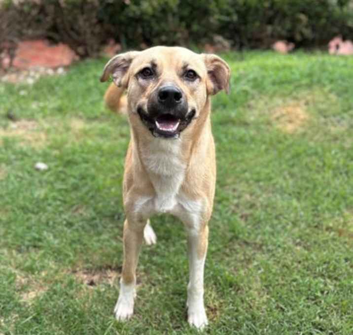 Photo of 25-0646 Winnie