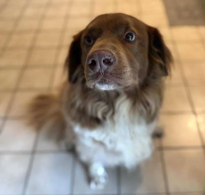 Photo of Molly