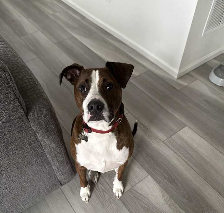 Photo of Dante
