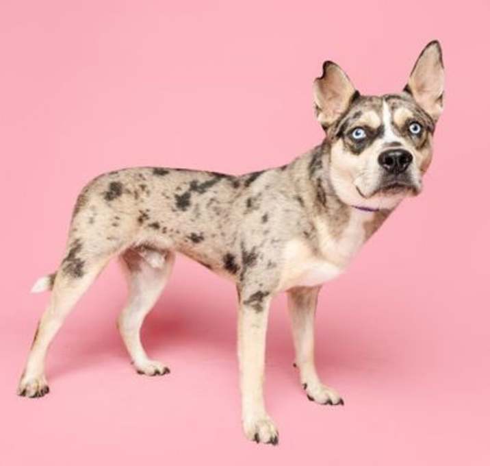 Photo of Templeton