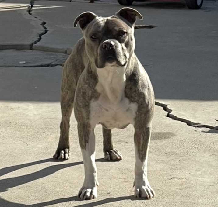 Photo of Blue