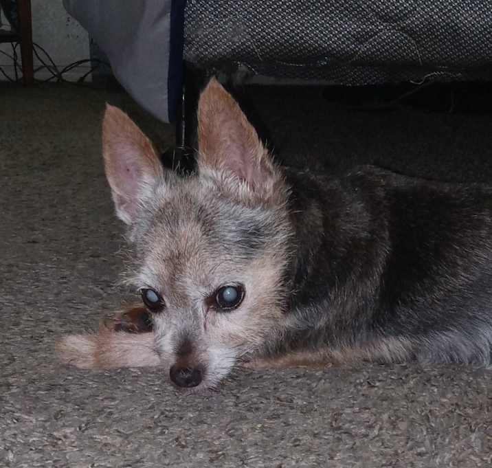 Photo of Nicco