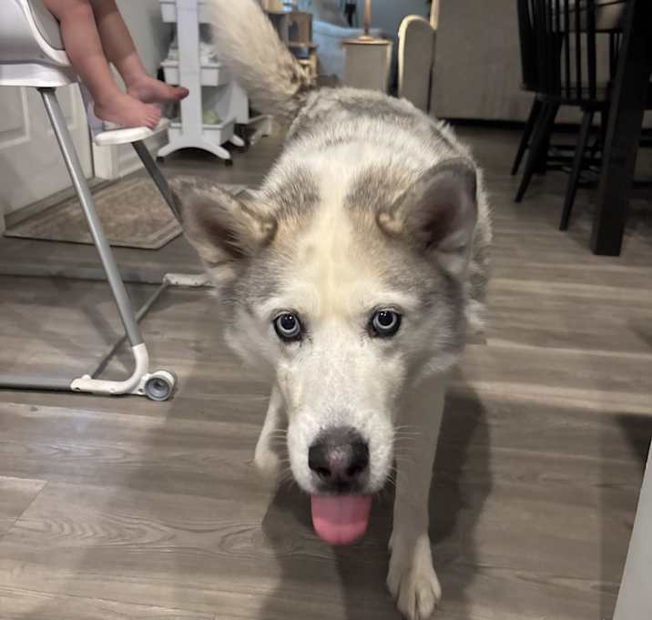 Photo of Dakota