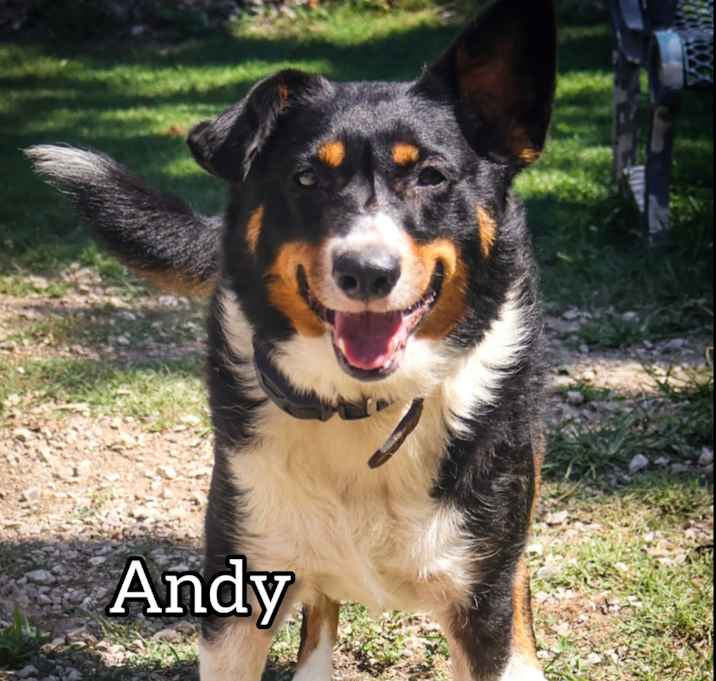 Photo of Andy