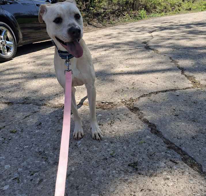 Photo of Luna