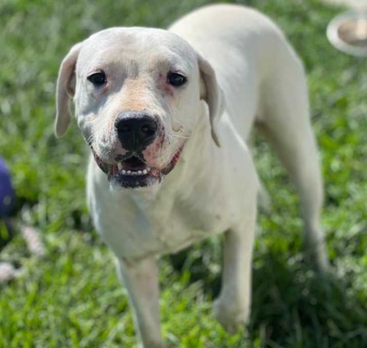 Photo of LADY