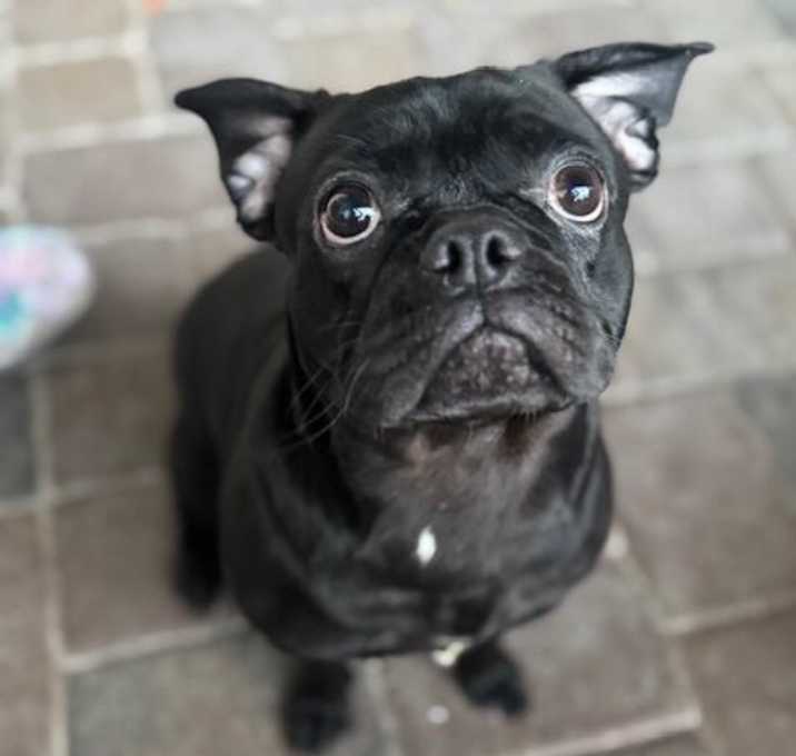 Photo of Stormy2