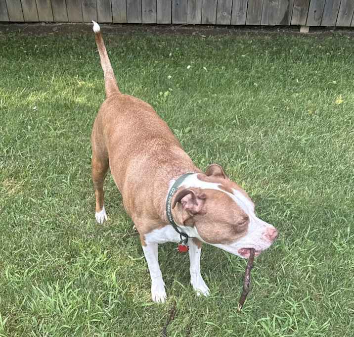 Photo of Oz