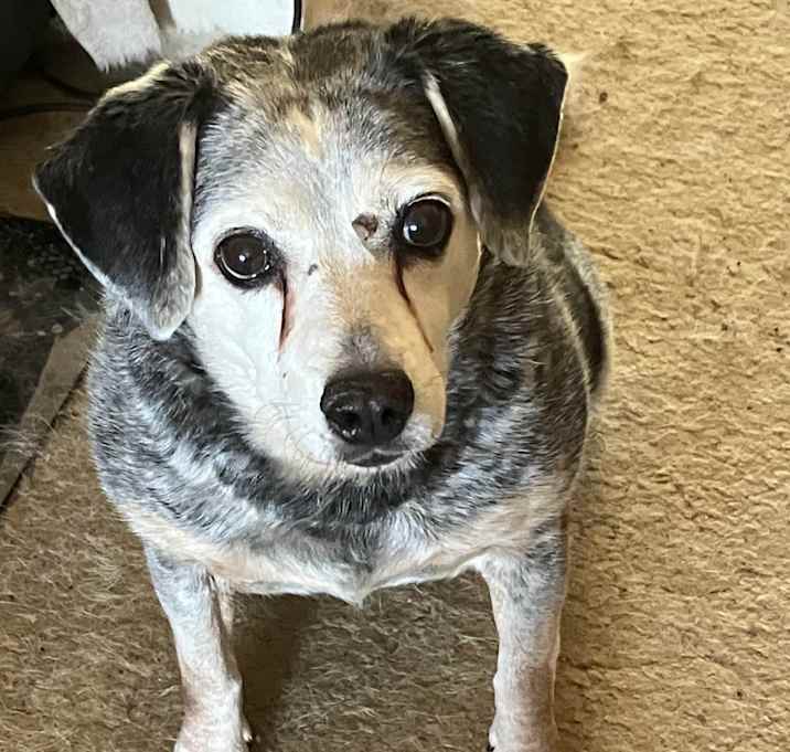 Photo of Ellie Mae