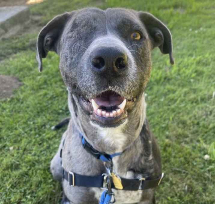 Photo of Stella - *Ooo, What Was That??