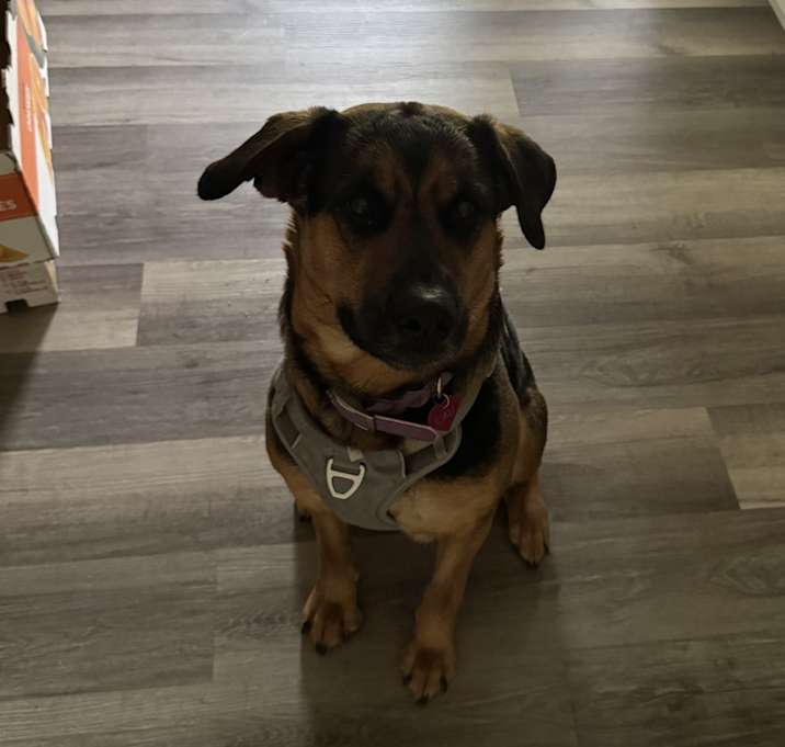 Photo of Cali