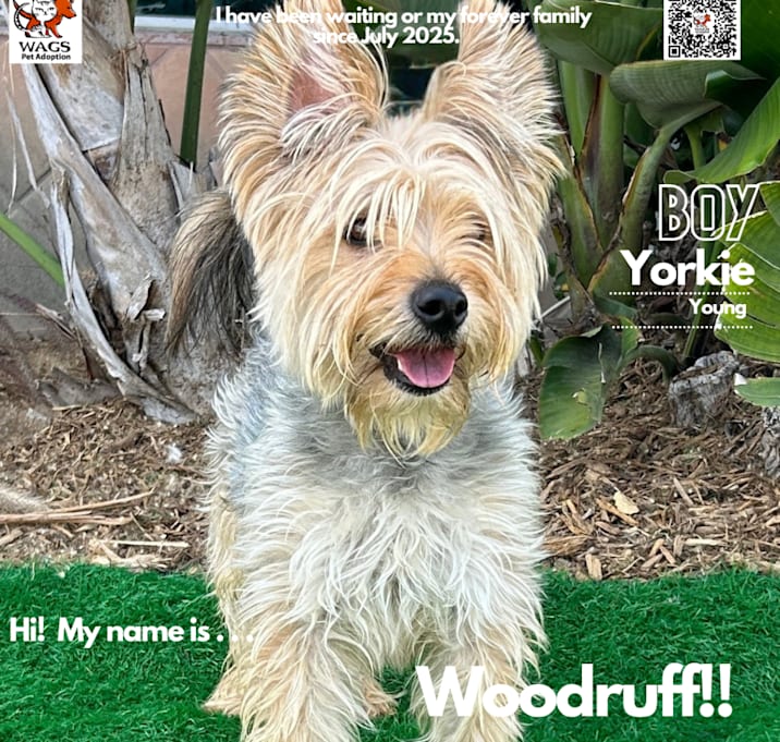 Photo of Woodruff
