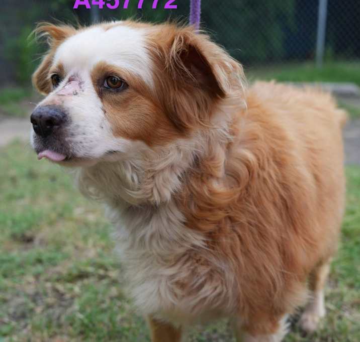 Photo of Wendy(A457772 ) 