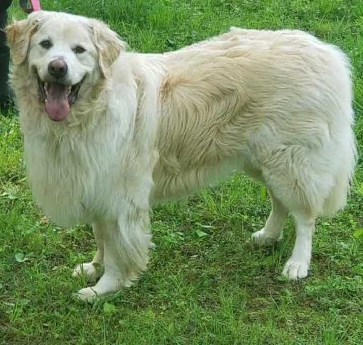 Photo of Jack