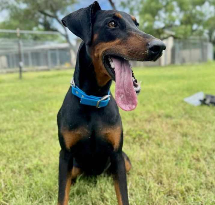 Photo of Murphy