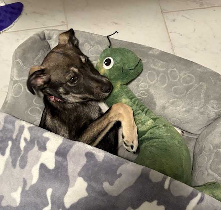 Photo of Charlie