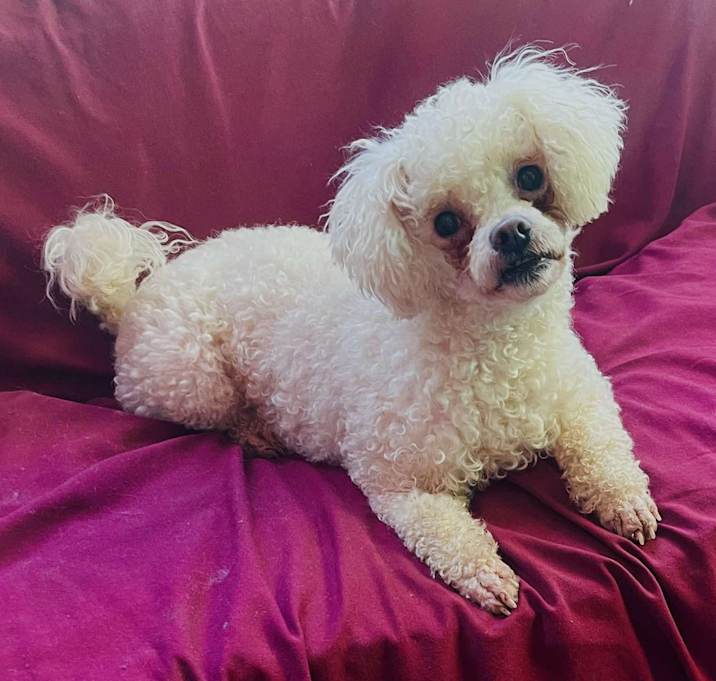 Photo of MINNIE