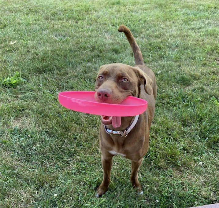 Photo of Maggy