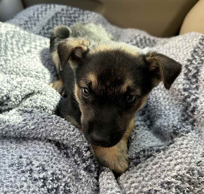 Photo of Jet