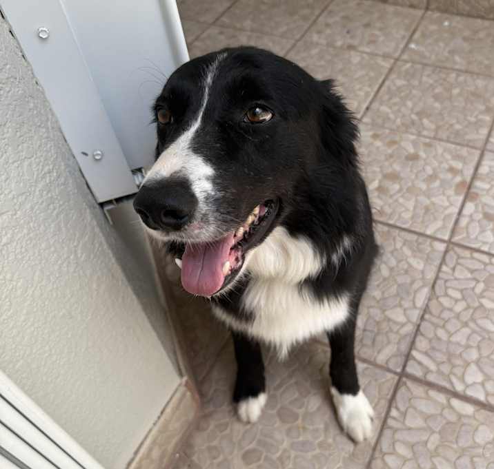Photo of Ralph