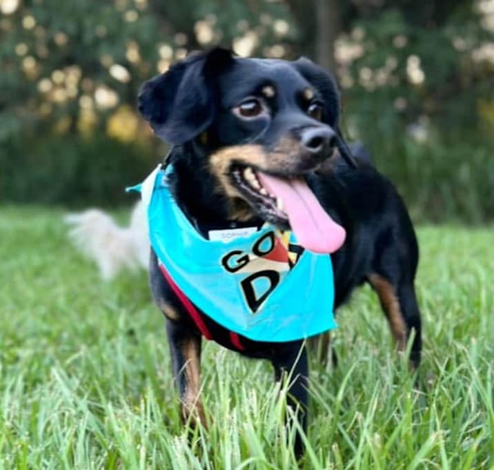 Photo of Sophie Mae