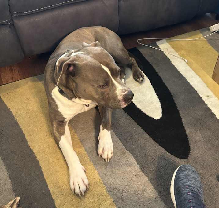 Photo of Bleu