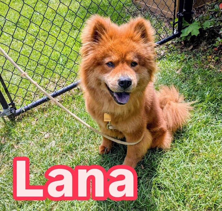 Photo of Lana