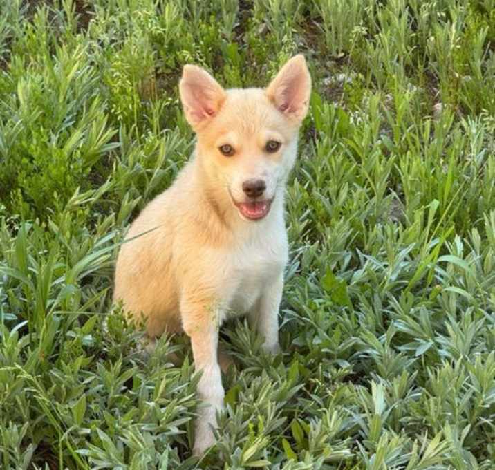 Photo of Daisy Lou