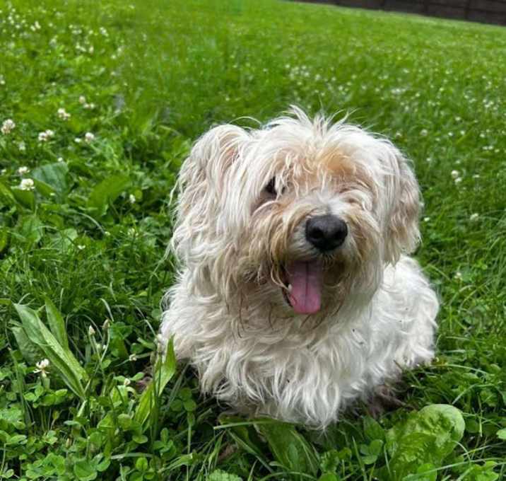 Photo of StirFry