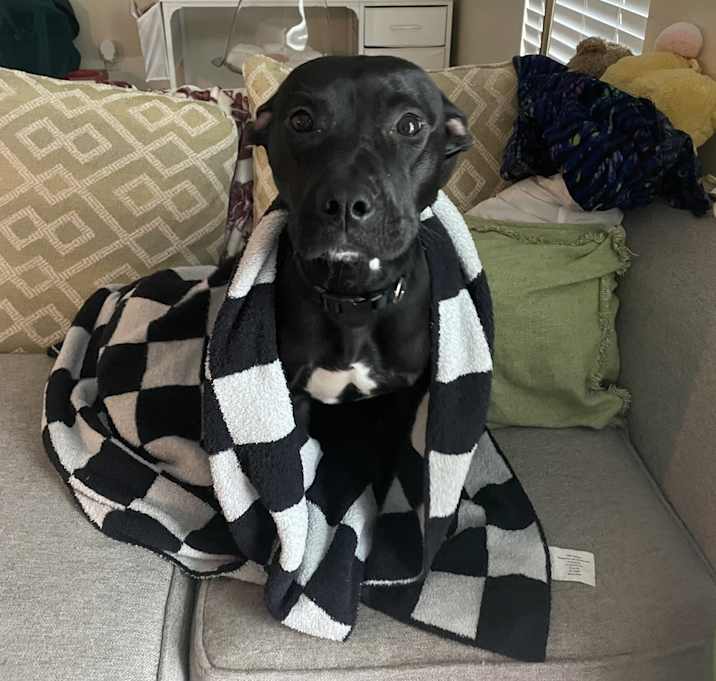 Photo of Remi