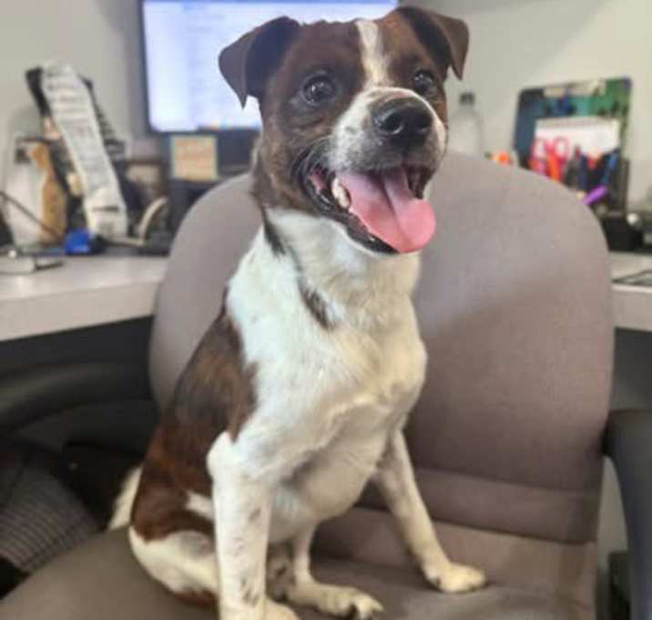 Photo of Charlie in Wooster