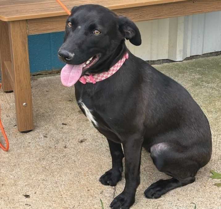 Photo of Missy