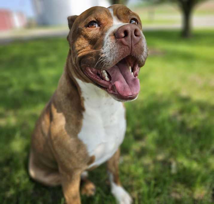 Photo of Odin